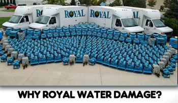 Royal Water Damage Top of The Line!