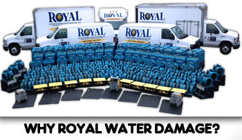 Royal Water Damage Top of The Line!